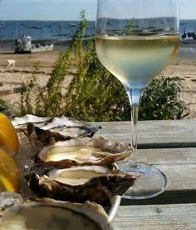 Holiday home Maison Avec Jardin Au Coeur Du Bassin D'arcachon